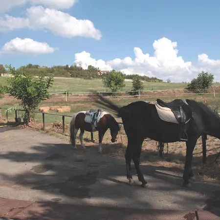 Torre Di Codana Montiglio